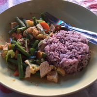 Panang tofu curry, 70 baht at Peppermaint Guesthouse in Chiang Mai