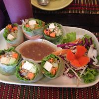 ricepaper rolls  at The Whole Earth in Chiang Mai