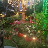 night garden at The Whole Earth in Chiang Mai