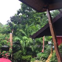 View from our table  at The Whole Earth in Chiang Mai
