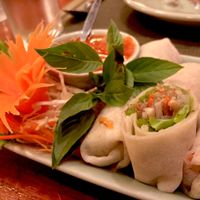 Fresh Spring Rolls. at The Whole Earth in Chiang Mai