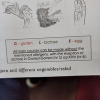  at Gadja Etiopisk in Stavanger