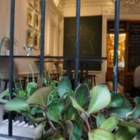 Inside at Le Botaniste in Ghent