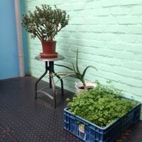 stylisch patio at Le Botaniste in Ghent