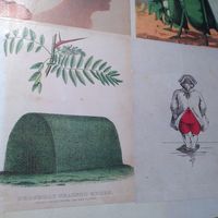  at Le Botaniste in Ghent