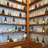 Interior at Le Botaniste in Ghent