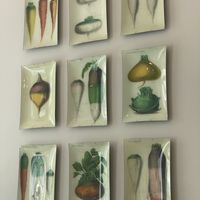   at Le Botaniste in Ghent