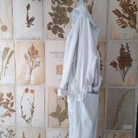 Quirky decor adding visual interest to Le Botaniste at Le Botaniste in Ghent