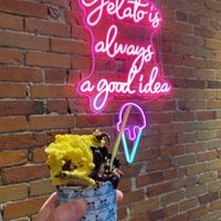 Mango and vegan chocolate mint at Mio Gelato in Kingston