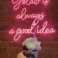 Lemon sorbet and chocolate pudding   at Mio Gelato in Kingston