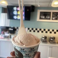Strawberry kiwi gelato   at Mio Gelato in Kingston