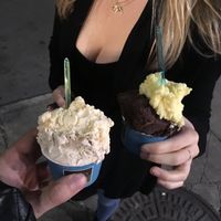 An assortment of vegan gelato! at Mio Gelato in Kingston