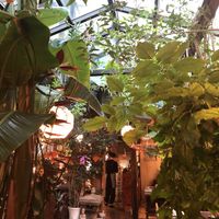 Urban jungle in Sanchon. =) at SanChon Korean Temple Cooking - 산촌 사찰음식전문점 in Seoul