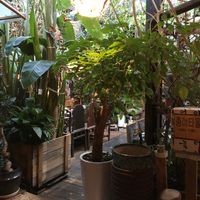 Plants in the restaurant  at SanChon Korean Temple Cooking - 산촌 사찰음식전문점 in Seoul