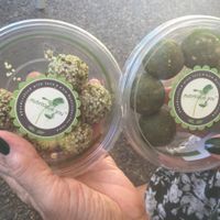 Lemon Macha and Almond Maca energy balls. Already sampled in this pic! at You Cafe in Siesta Key