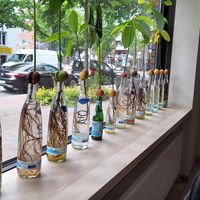  at MAKIMAKI Sushi Green in Muenster