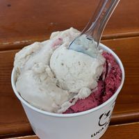   at Luca Polare in Tbilisi