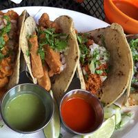 All vegan tacos! at Gringo A Go Go in Raleigh