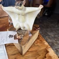   at The Burrowing Owl in Colorado Springs