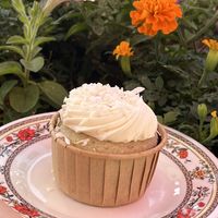   at The Burrowing Owl in Colorado Springs