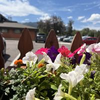   at The Burrowing Owl in Colorado Springs