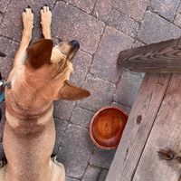   at The Burrowing Owl in Colorado Springs