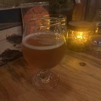 Kombucha on draft   at The Burrowing Owl in Colorado Springs