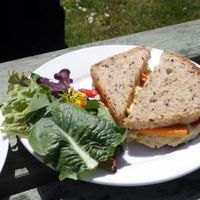 Hummus and Roasted Vegetables Sandwich with salad garnish at Apple Tree Cafe in Trevescan