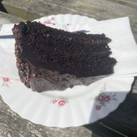 The best chocolate cake! at Apple Tree Cafe in Trevescan