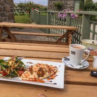 Vegan Falafel with Hummus and Salad on Pitta & Soy Tea at Apple Tree Cafe in Trevescan