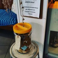 #Veganuary at Fram Cafe in Bologna