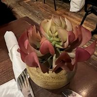 decoration  at VSpot Express in New York City