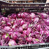  at Heart of the City Farmers' Market in San Francisco