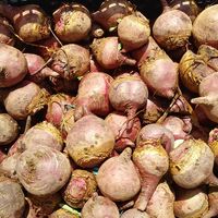  at Heart of the City Farmers' Market in San Francisco