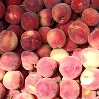  at Heart of the City Farmers' Market in San Francisco
