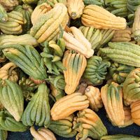 Buddha's hand at Heart of the City Farmers' Market in San Francisco