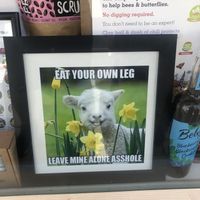 I loved this in the front window  at Blondes in Cottingham