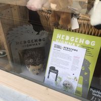 You can tell what kind of place it is from this  at Blondes in Cottingham