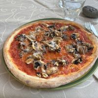 Mushroom pizza  at Felice Ristorante Pizzeria in Lucca