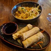 Starters- soring rolls and satay tofu at Soy in Berlin