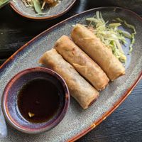 Tasty springrolls at Soy in Berlin