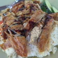 Chicken Rice at Tanaka Vegetarian - Blk 306A Woodlands in North Singapore