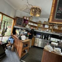   at Livefast Cafe in Halls Gap