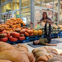Check out the pumpkins... at Whole Foods Market - Domains Dr in Austin