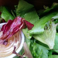 Green salad with blood orange dressing at Fru Fru Terra in Portland