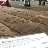 vtopia außenbestuhlung at Fru Fru Terra in Portland