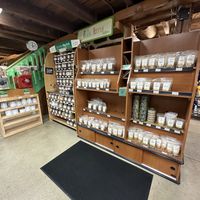 Bull  at Organnons Natural Market in Wrightstown