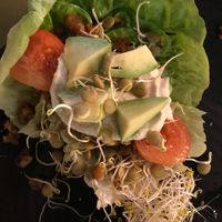 Raw starter. Yummi! at BodhiGreen Vegetariano in Alicante