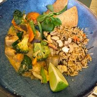 Red curry at BodhiGreen Vegetariano in Alicante