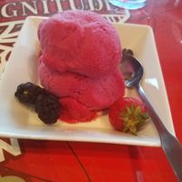 Blood Orange sorbet! Really yummy! at Gas Full Service Restaurant  in St Augustine